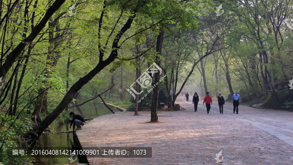 森林,瑯琊山寺