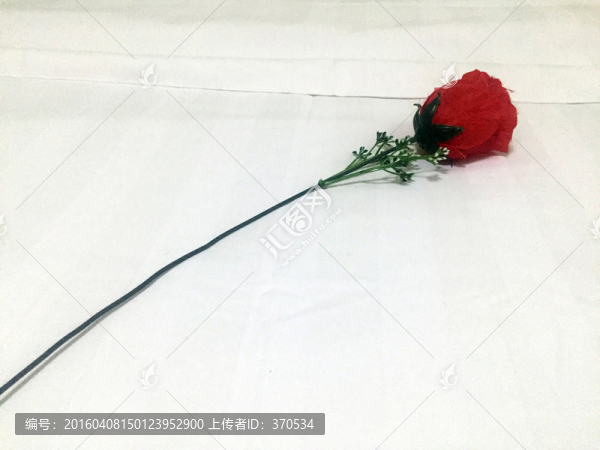 玫瑰花