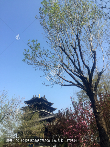 大明湖