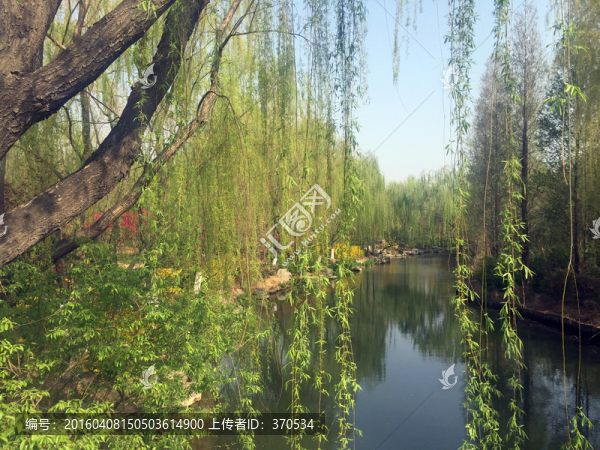 大明湖