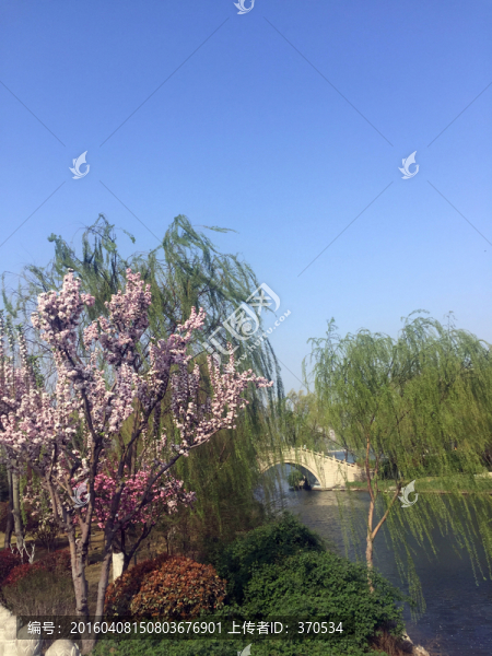 大明湖