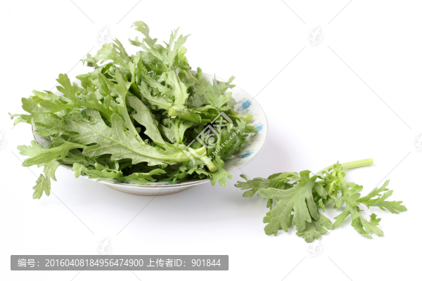 茼蒿菜