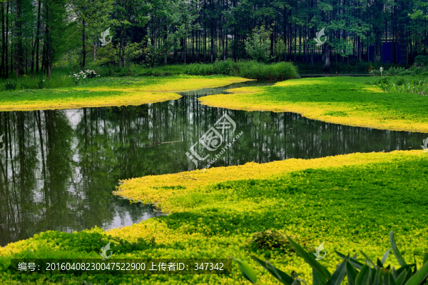 濕地
