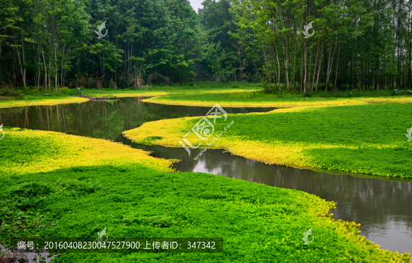 濕地