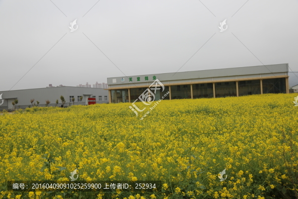 工業(yè)園區(qū)