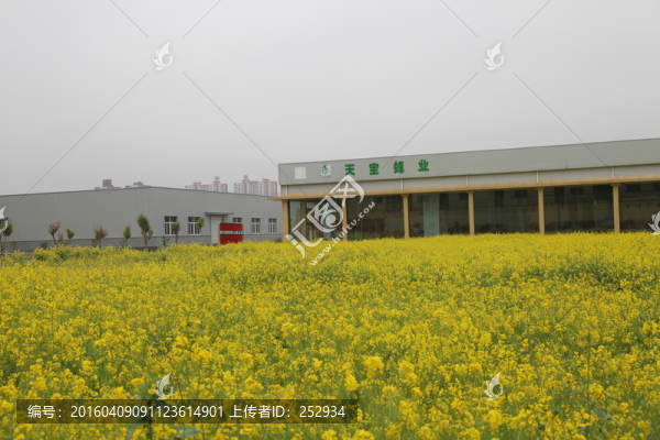 工業(yè)園區(qū)