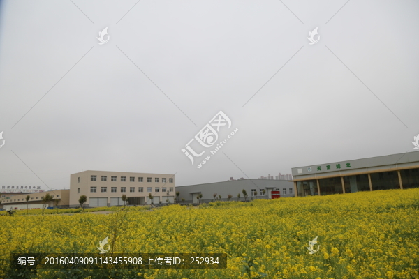 工業(yè)園建設(shè)