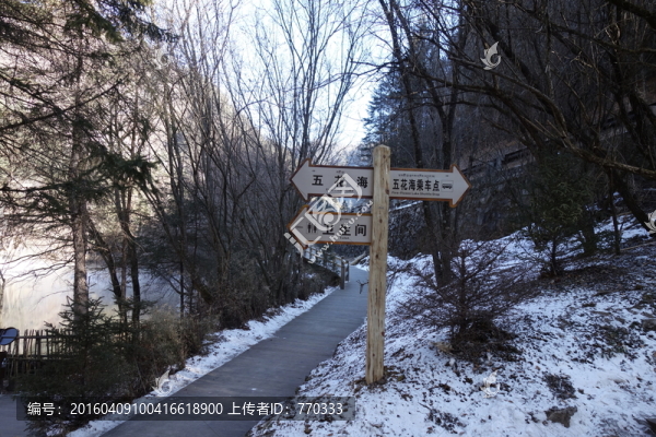 路牌,雪景,小路,原始森林