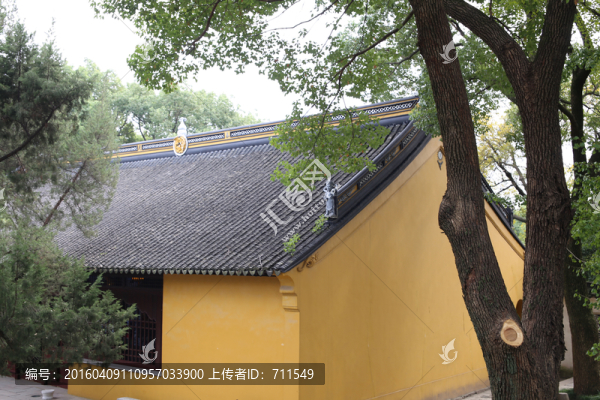 古寺,樹木