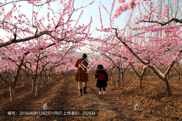 母女倆