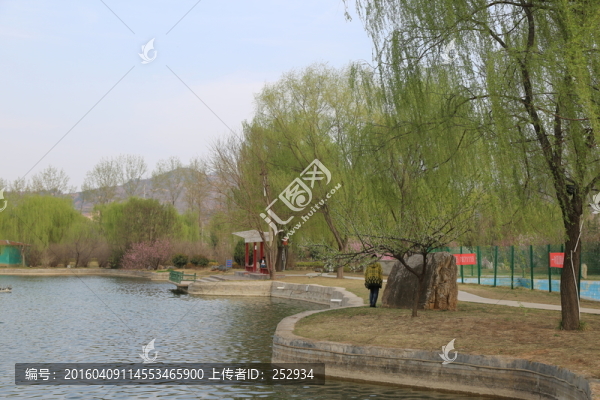 湖畔風(fēng)光