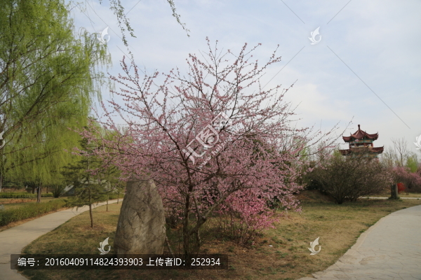 公園風景