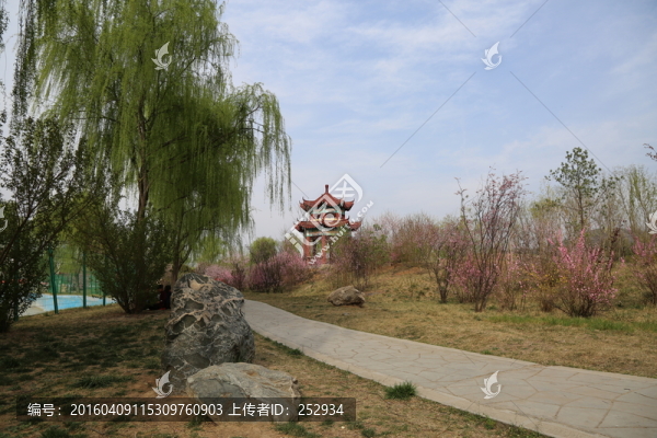 公園風景