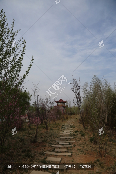 公園小道