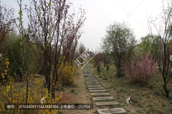 公園小路