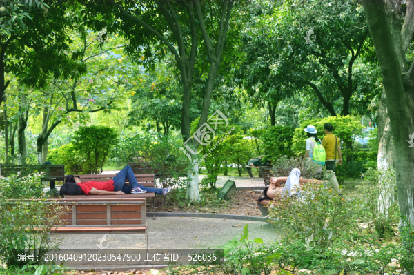 公園