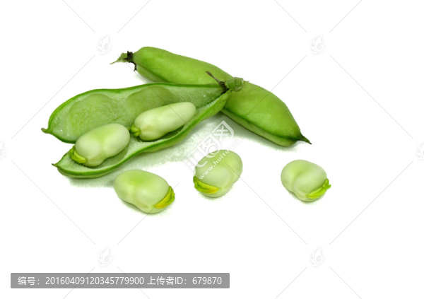 新鮮蠶豆