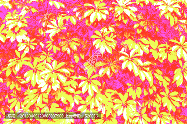 花紋,花型