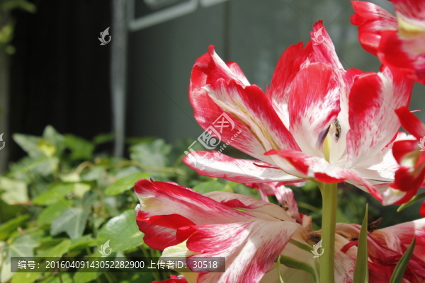 江南慢時光