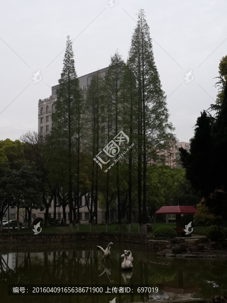 環(huán)境優(yōu)美的上海市委黨校