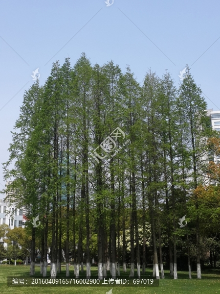 環(huán)境優(yōu)美的上海市委黨校