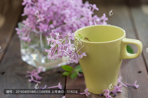 丁香花