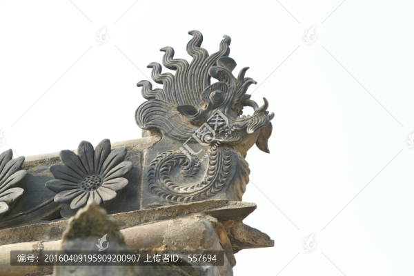 脊獸龍