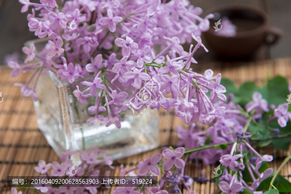 丁香花