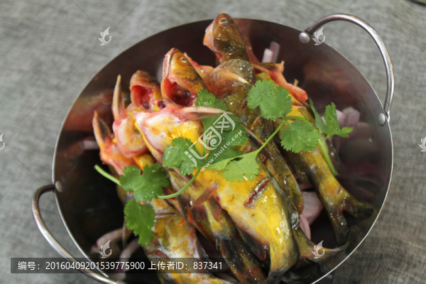 黃骨魚