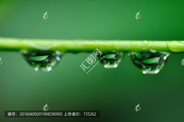 水珠