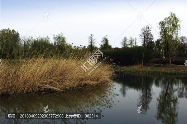 湖