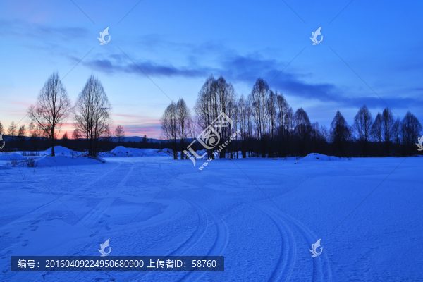 雪原樹林暮色