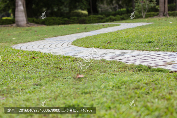 路和草地
