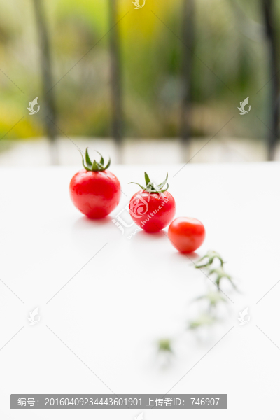 櫻桃番茄西紅柿