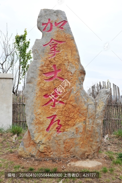 石頭