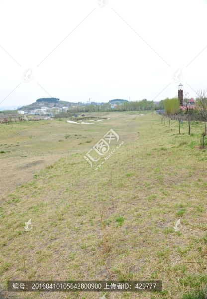 草坪,,草地