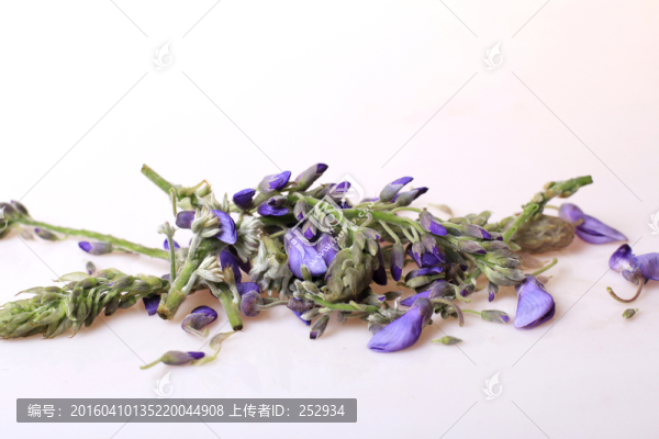 健康食品