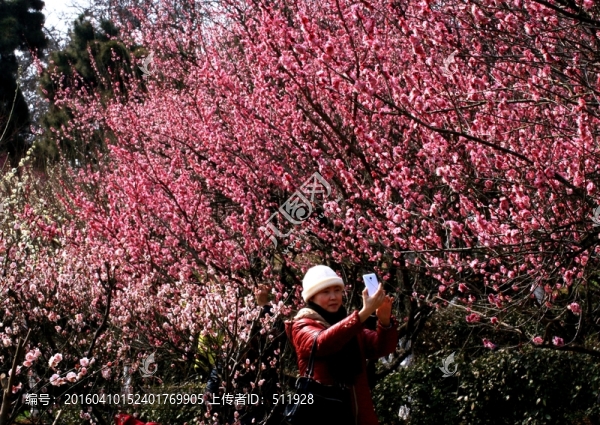南京古林公園風(fēng)光
