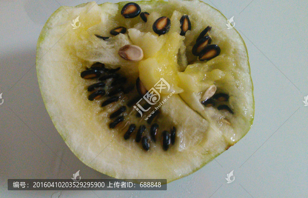 籽瓜