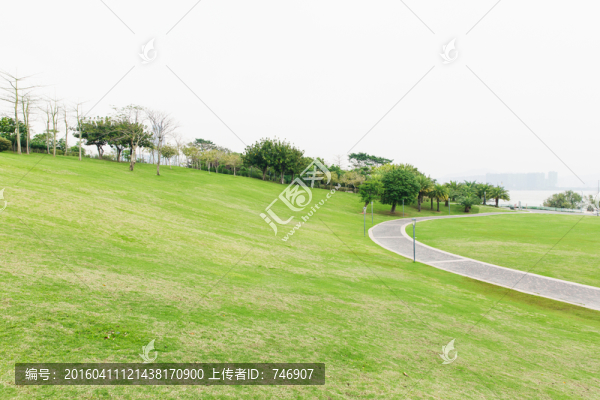 草地