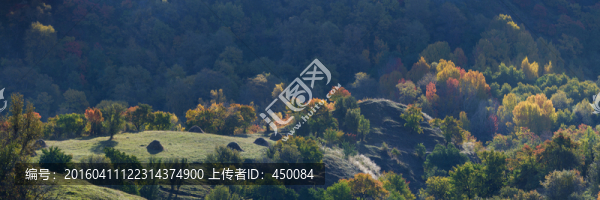 庫爾德寧的秋天