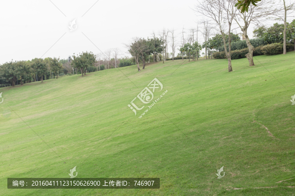 草地