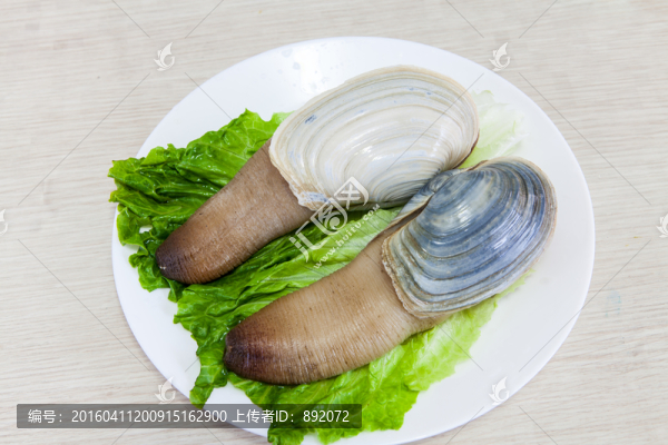 象拔蚌,食材