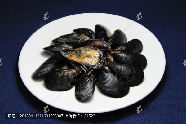打開的淡菜