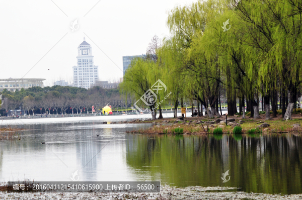 世紀(jì)公園