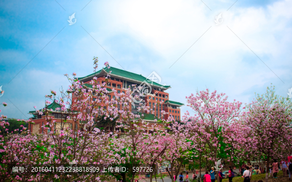 華南農(nóng)業(yè)大學(xué)