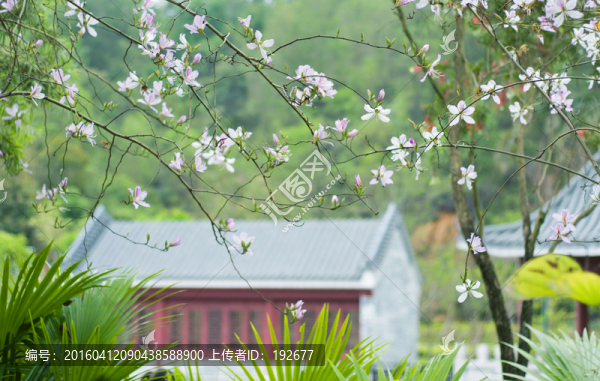 惠州小隱公園