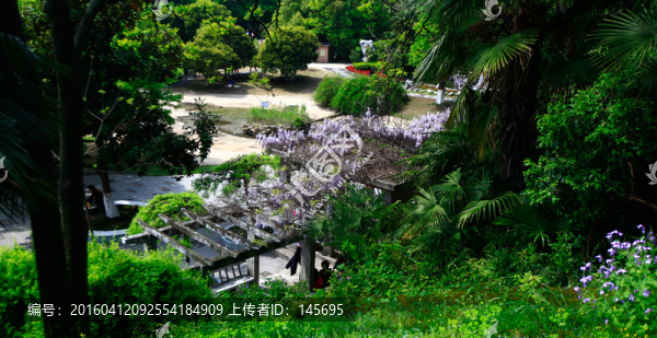 公園一角
