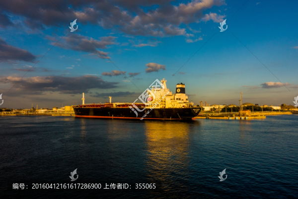 坦帕