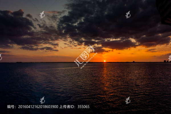 坦帕